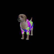 Load image into Gallery viewer, Canine Comfort - Warmth in Style and Color
