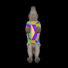 Load image into Gallery viewer, Canine Comfort - Warmth in Style and Color
