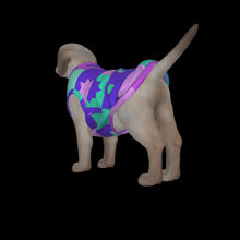 Load image into Gallery viewer, Canine Comfort - Seasonal Transition Tank Top
