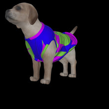 Load image into Gallery viewer, Canine Comfort - Season Transition Tank Top
