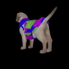 Load image into Gallery viewer, Canine Comfort - Season Transition Tank Top
