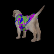 Load image into Gallery viewer, Canine Comfort - Seasonal Transition Tank Top
