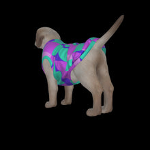 Load image into Gallery viewer, Canine Comfort - Seasonal Transition Tank Top
