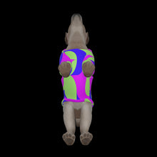 Load image into Gallery viewer, Canine Comfort - Warmth in Style and Color
