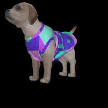 Load image into Gallery viewer, Canine Comfort - Seasonal Transition Tank Top
