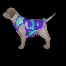 Load image into Gallery viewer, Canine Comfort - Seasonal Transition Tank Top
