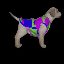 Load image into Gallery viewer, Canine Comfort - Seasonal Transition Tank Top
