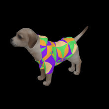 Load image into Gallery viewer, Canine Comfort - Warmth in Style and Color
