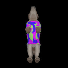 Load image into Gallery viewer, Canine Comfort - Warmth in Style and Color
