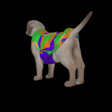 Load image into Gallery viewer, Canine Comfort - Seasonal Transition Tank Top
