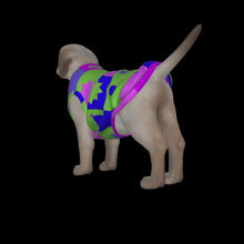 Load image into Gallery viewer, Canine Comfort - Seasonal Transition Tank Top
