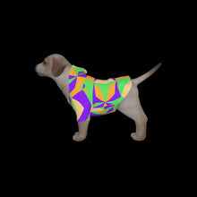 Load image into Gallery viewer, Canine Comfort - Warmth in Style and Color
