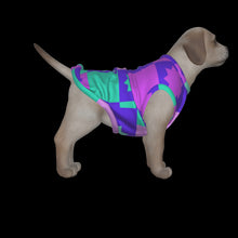 Load image into Gallery viewer, Canine Comfort - Seasonal Transition Tank Top
