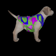 Load image into Gallery viewer, Canine Comfort - Seasonal Transition Tank Top
