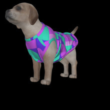 Load image into Gallery viewer, Canine Comfort - Seasonal Transition Tank Top
