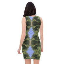 Load image into Gallery viewer, Urban Amaryllis***Venus in the Garden, Sheath Dress
