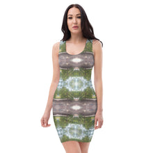 Load image into Gallery viewer, Urban Amaryllis***Venus in the Garden, Sheath Dress
