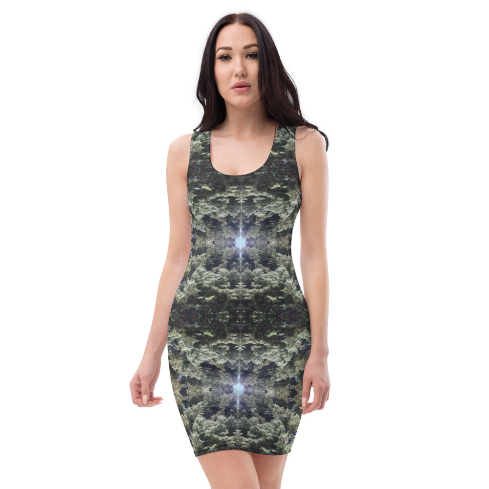 Urban Amaryllis***Venus in the Garden, Sheath Dress